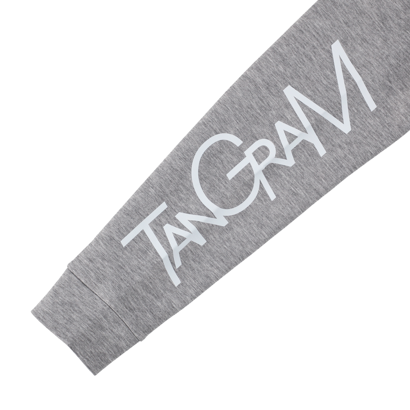 DOUBLE KNIT BIG TSL LOGO HOODIE GRAY TGA-MF44