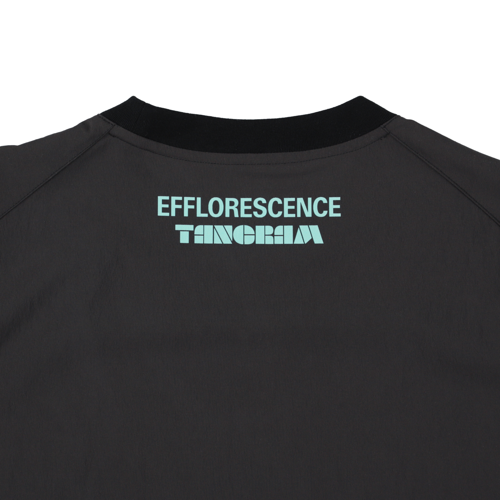 EFFLORESCENCE × TANGRAM NYLON STRETCH PISTE BLACK TGS-MT187