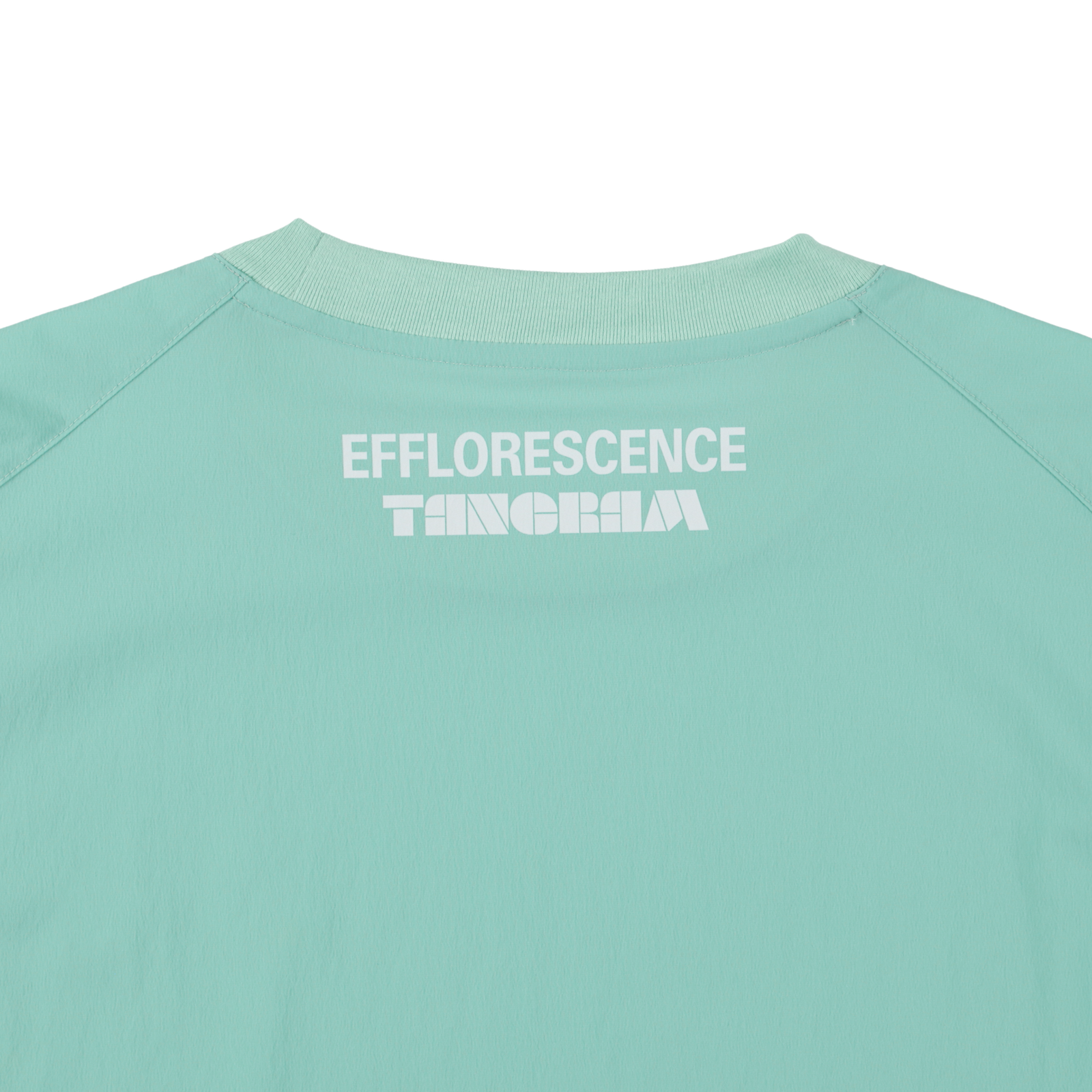 EFFLORESCENCE × TANGRAM NYLON STRETCH PISTE MINT GREEN TGS-MT187